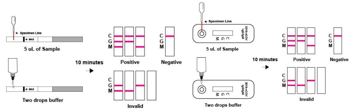 ViShield Diagnostic kit for anti- 2019-nCoV IgM/IgG Antibodies（Colloidal Gold)